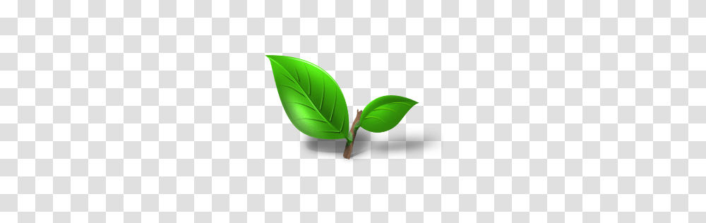 Tea Plant Leaf Icon Tea Iconset, Green, Tennis Ball, Sport, Sports Transparent Png