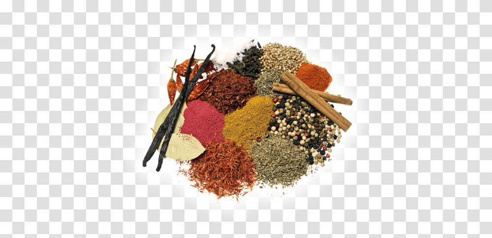 Tea Spice, Insect, Invertebrate, Animal, Bird Transparent Png