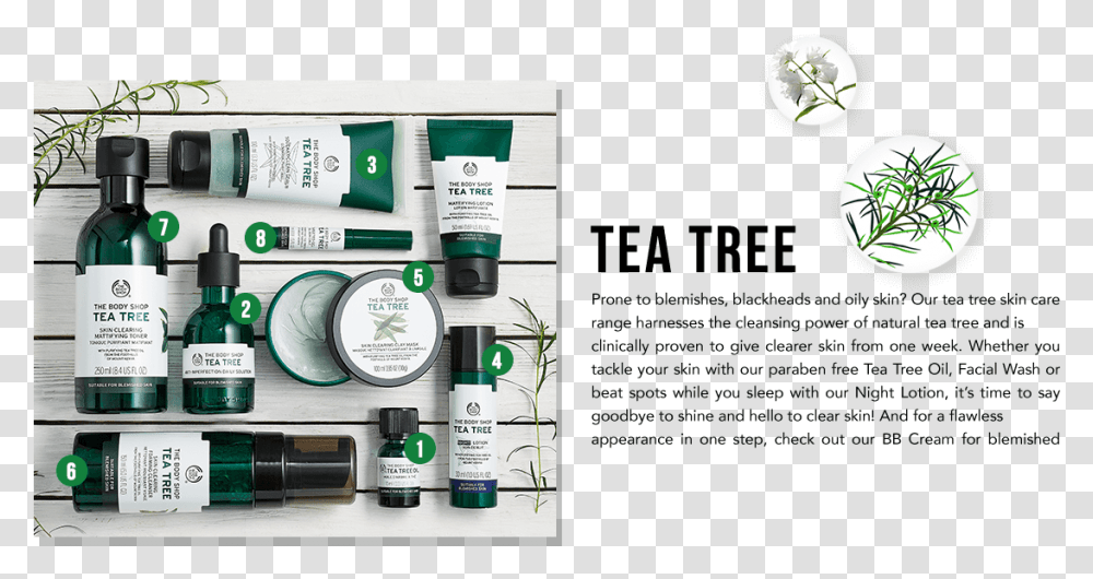 Tea Tree Body Shop Tea Tree Oil Line, Cosmetics, Bottle Transparent Png