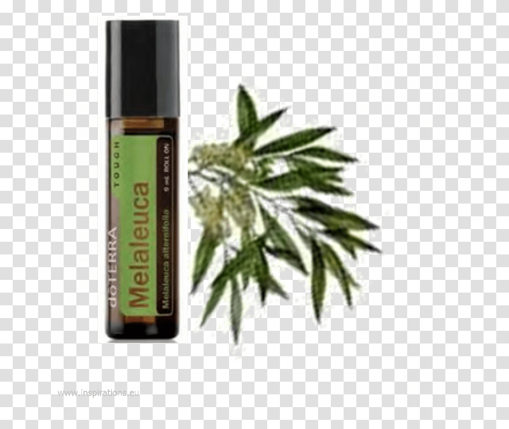 Tea Tree Touch Doterra Image Doterra Melaleuca Oil Touch, Bottle, Cosmetics, Perfume, Aftershave Transparent Png