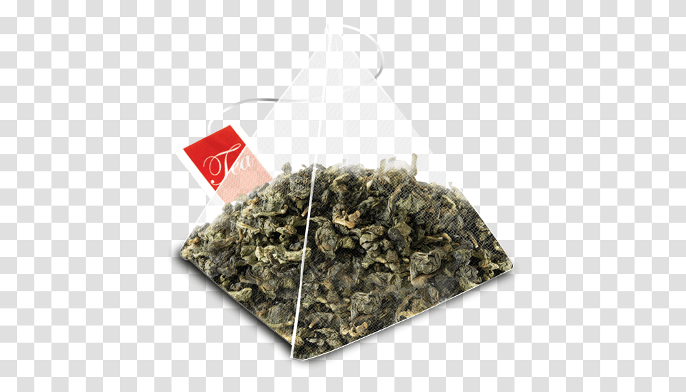 Tea Twg Camouflage, Plant, Herbal, Herbs, Planter Transparent Png
