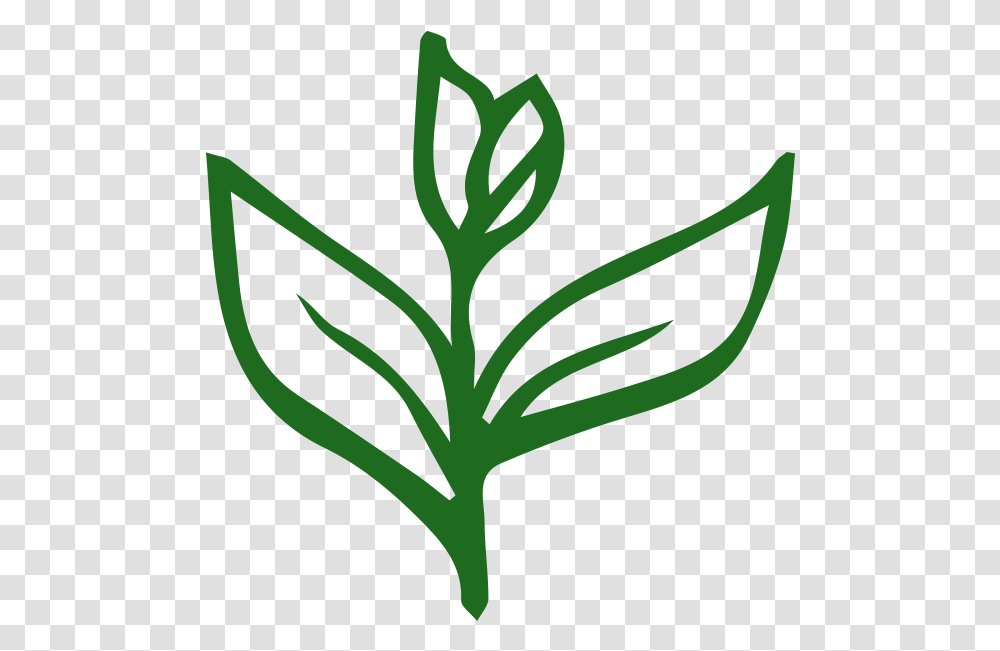 Tea Types, Plant, Vegetable, Food, Produce Transparent Png