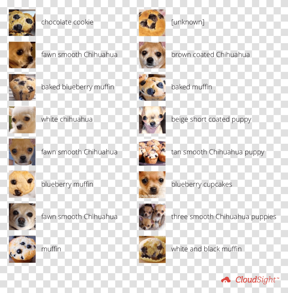 Teach A Computer The Difference Between A Muffin And, Collage, Poster, Advertisement, Dog Transparent Png