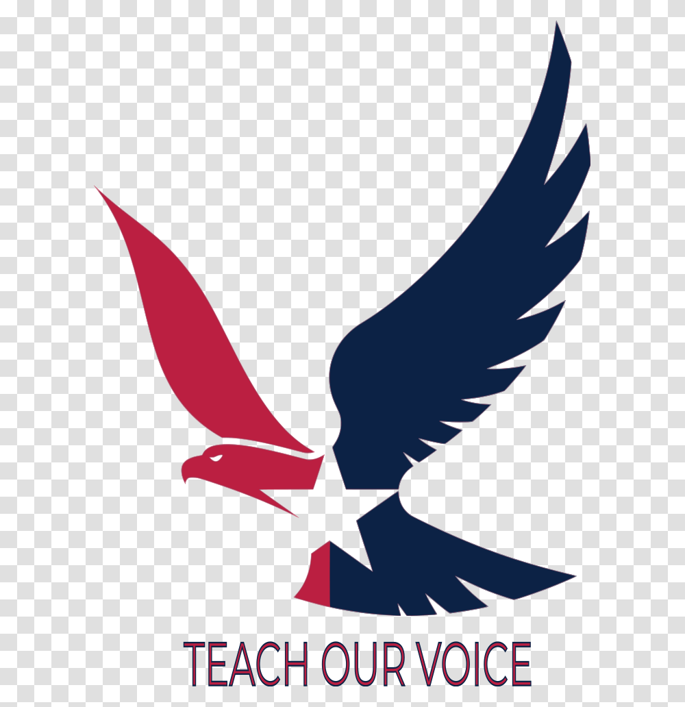 Teach Our Voice, Flying, Bird, Animal, Jay Transparent Png