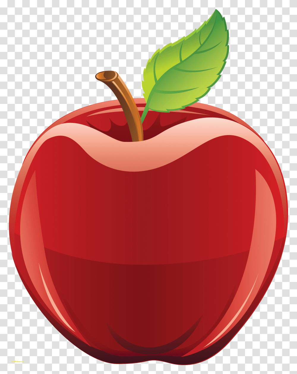 Teacher Apple Clipart Clip Art Free, Plant, Fruit, Food Transparent Png