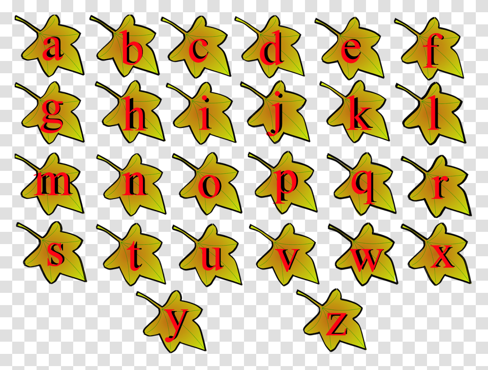 Teacher, Star Symbol, Bird Transparent Png