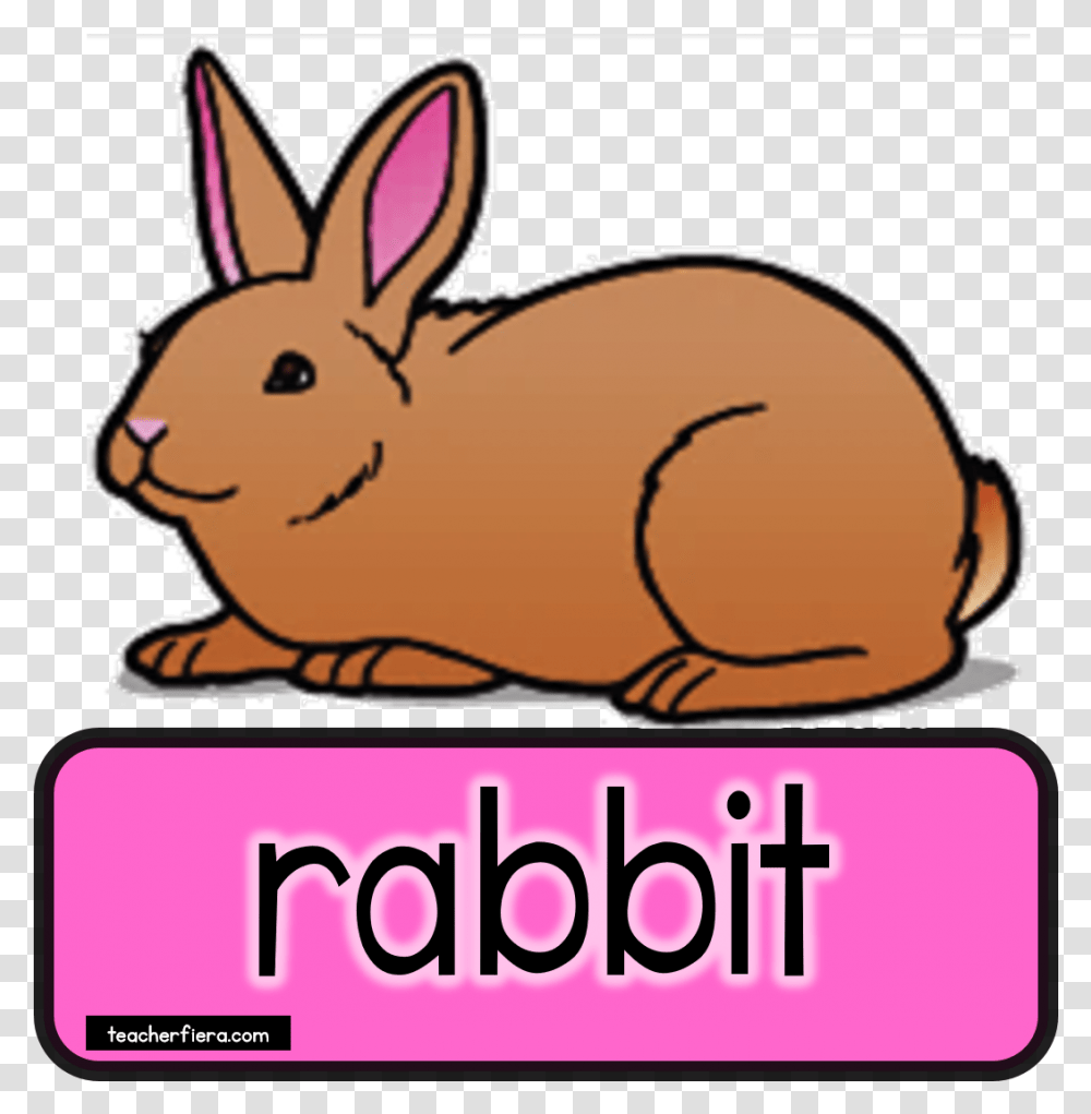 Teacherfiera Com Would Really Rabbit Clip Art, Mammal, Animal, Rodent, Bunny Transparent Png