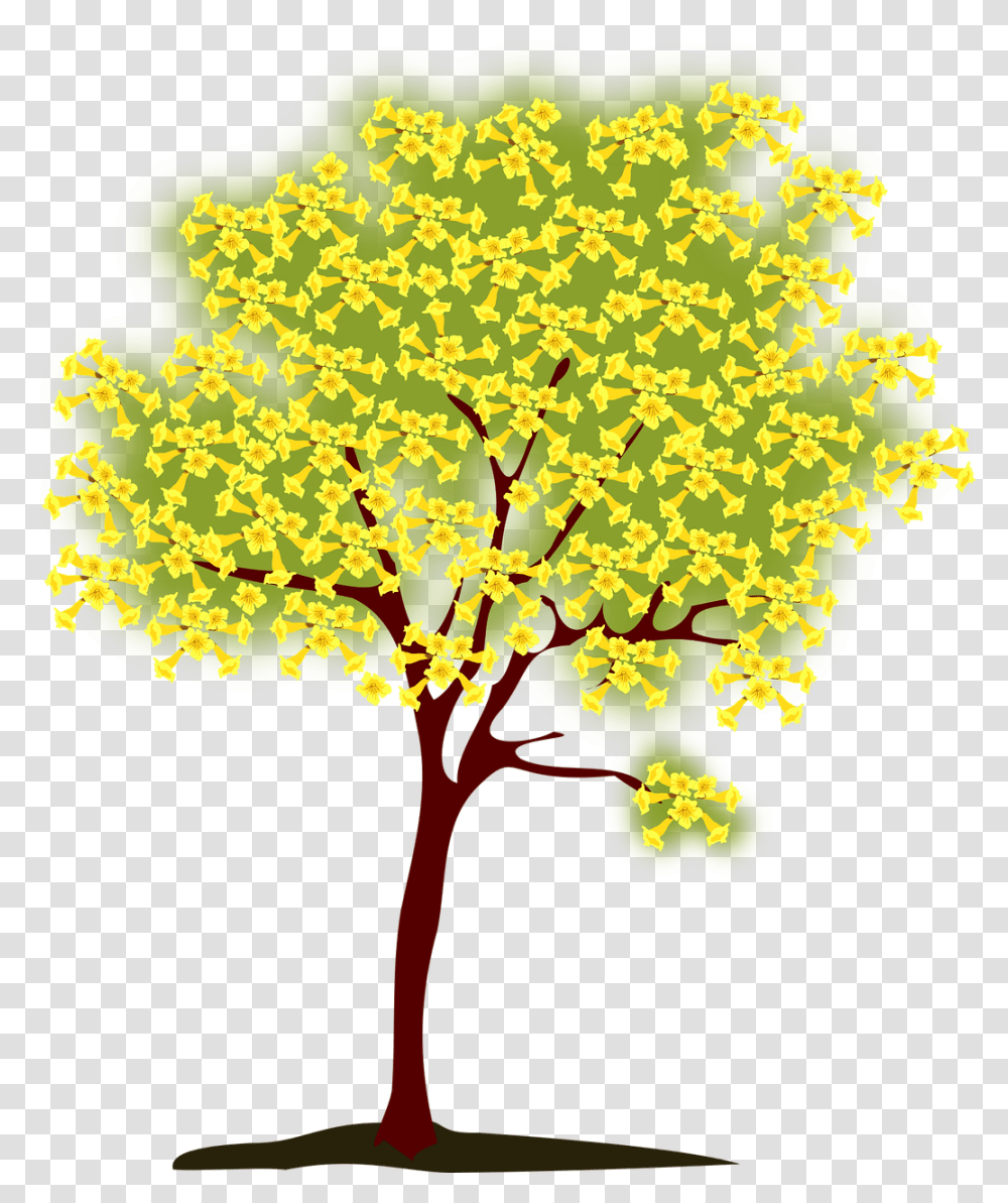 Teachers Plant Seeds That Grow Forever, Leaf, Maple, Tree, Flower Transparent Png