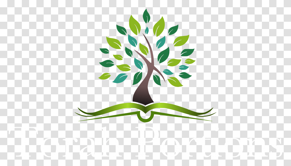 Teachings, Plant, Tree, Logo Transparent Png