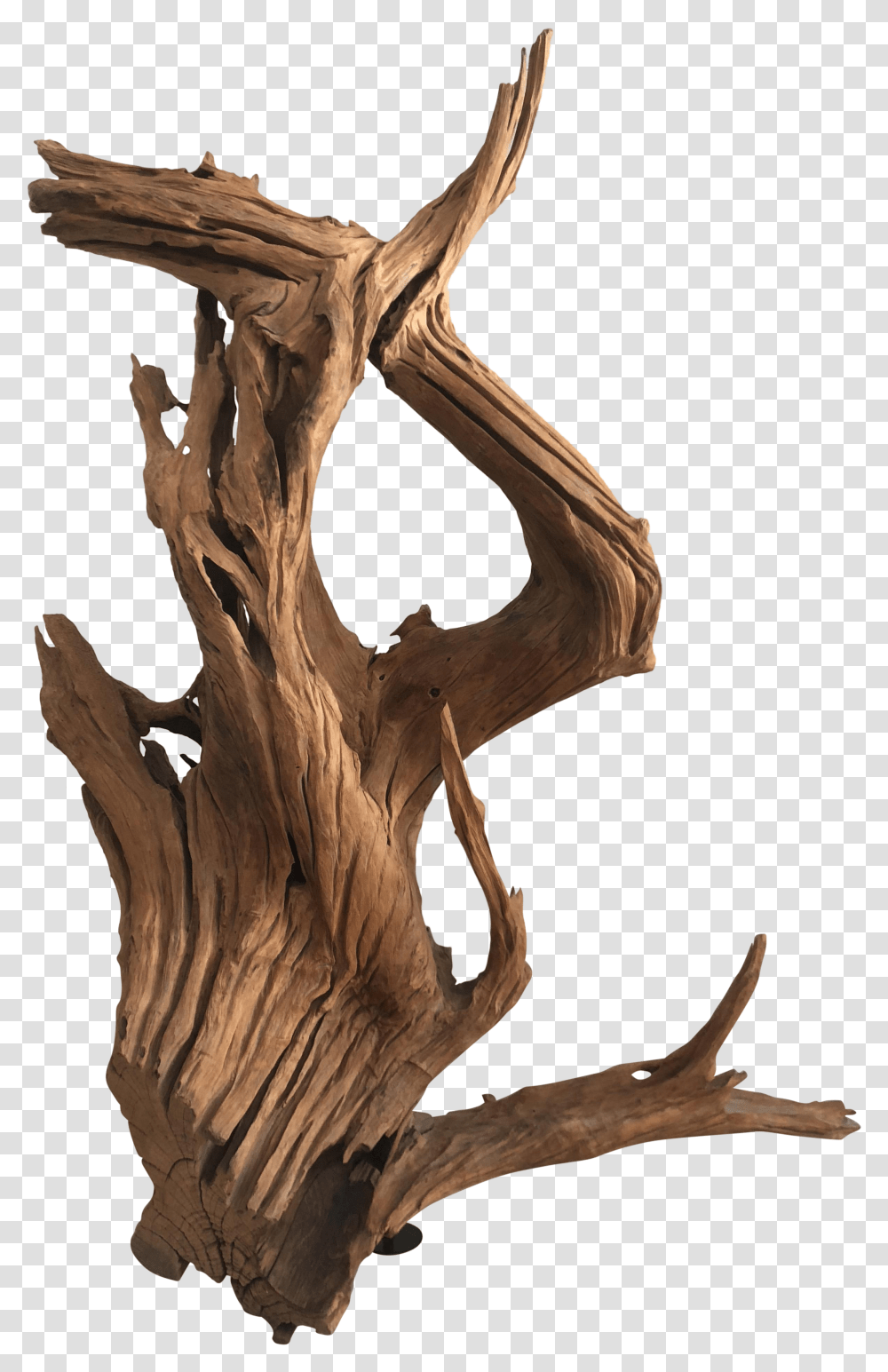 Teak Driftwood Sculpture Twig Transparent Png