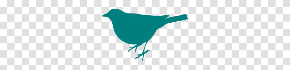 Teal Bird Silhouette Clip Art, Animal, Person, Human, Fowl Transparent Png