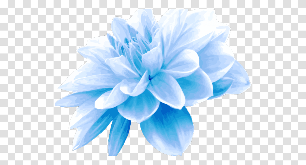 Teal Clipart Blue Green Flower Light Blue Flower, Plant, Blossom, Geranium, Dahlia Transparent Png