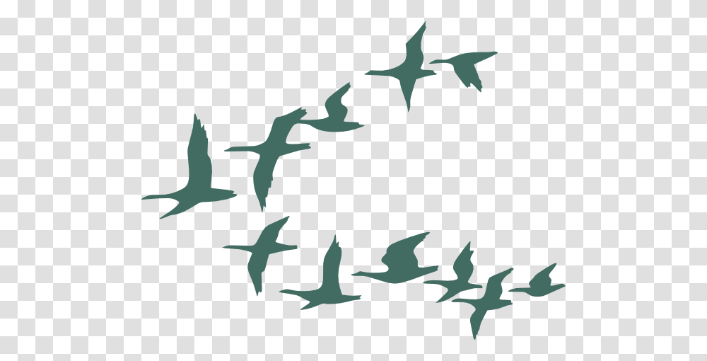 Teal Flock Of Geese Clip Art, Flying, Bird, Animal, Silhouette Transparent Png