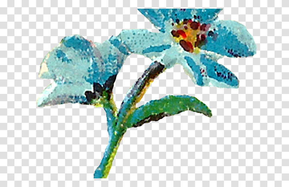 Teal Flower Clip Art Gardening Flower And Vegetables, Plant, Anther, Pollen, Iris Transparent Png