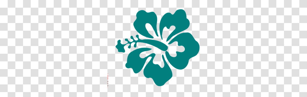 Teal Images Icon Cliparts, Plant, Hibiscus, Flower, Blossom Transparent Png