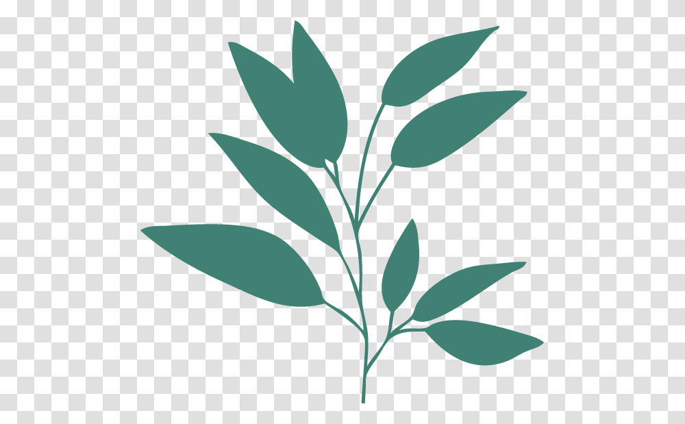 Teal Leaves Gold Leaf Plant Leaves Teal Turquoise, Green, Painting, Flower Transparent Png