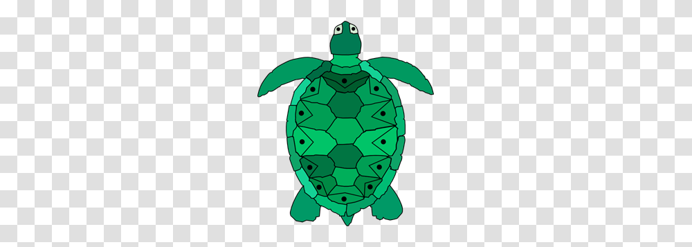 Teal Sea Turtle Clip Art For Web, Accessories, Ornament, Gemstone, Jewelry Transparent Png