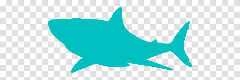 Teal Shark Clip Art, Sea Life, Animal, Fish, Mammal Transparent Png