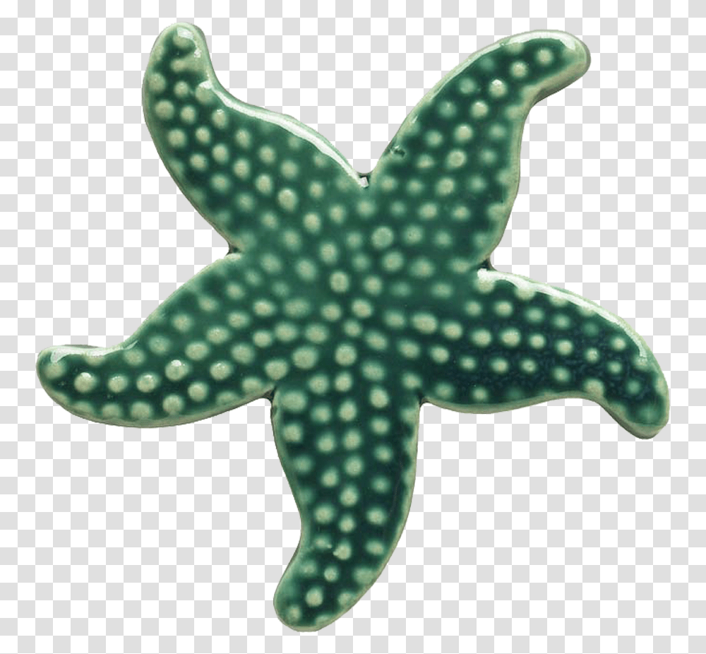Teal Starfish Green Starfish, Sea Life, Animal, Invertebrate, Sock Transparent Png