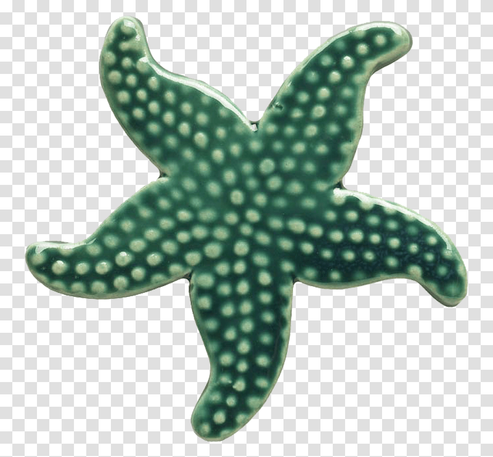 Teal Starfish Mosaic - Custom Mosaics Green Starfish, Sea Life, Animal, Invertebrate, Symbol Transparent Png