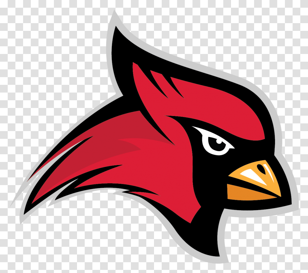 Team Home Crofton Cardinals Sports Crofton High School Cardinals, Bird, Animal, Beak Transparent Png