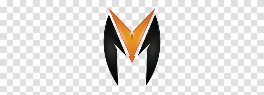 Team Insecure Gaming Overwatch, Logo, Trademark, Label Transparent Png