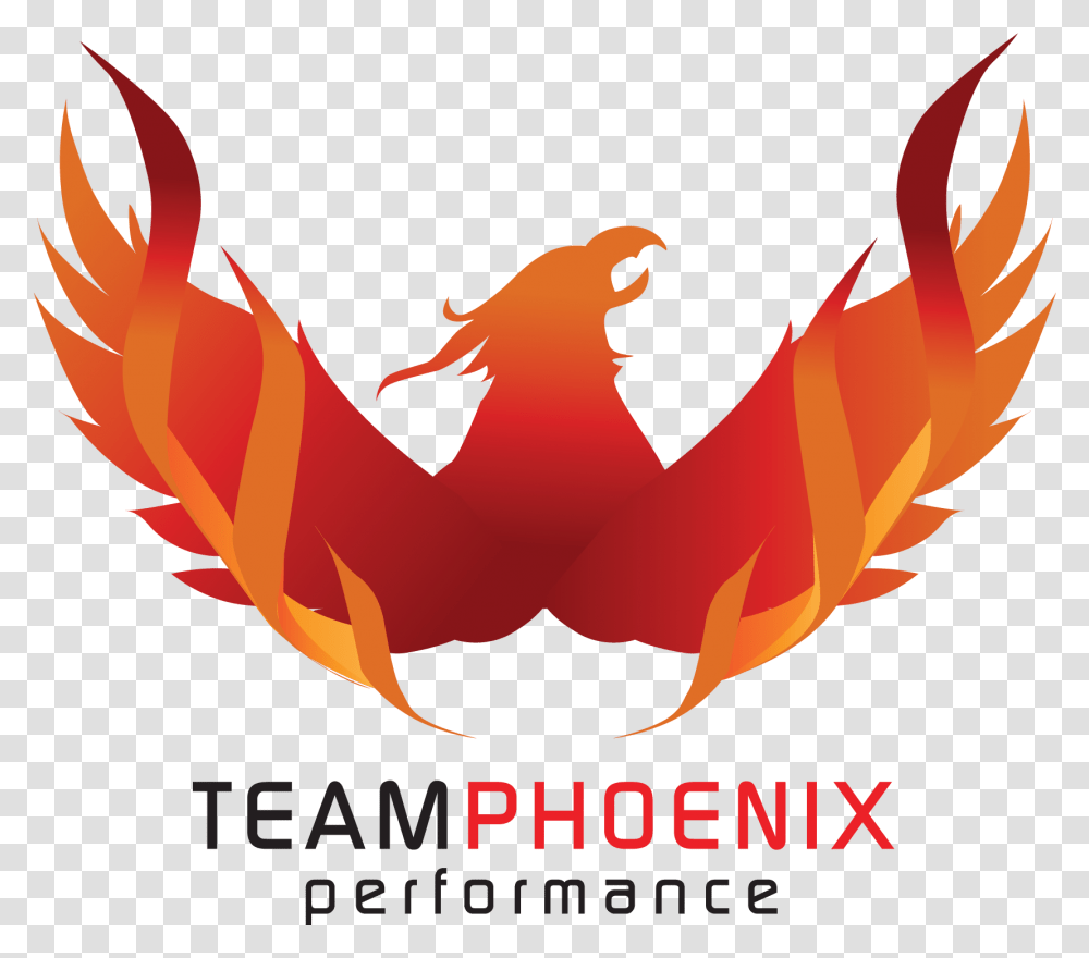 Team Phoenix, Leaf, Plant, Dragon, Bird Transparent Png