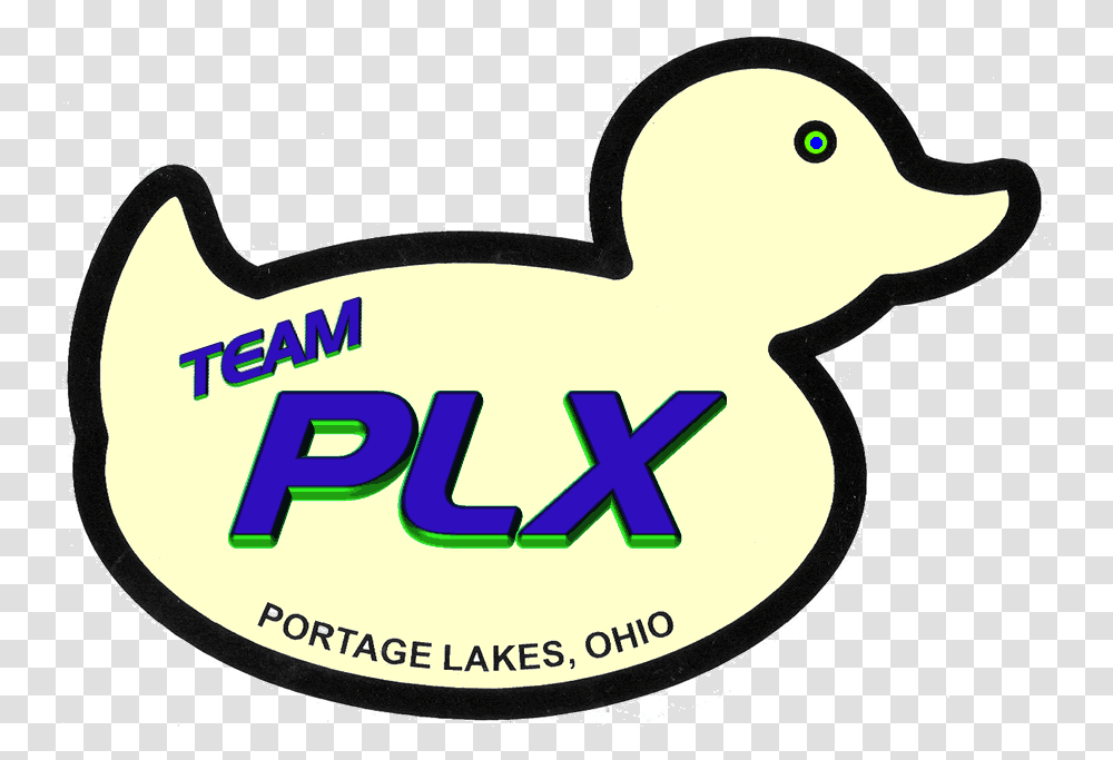 Team Plx Is Portage Lakes Community Duck, Animal, Bird, Antelope, Wildlife Transparent Png