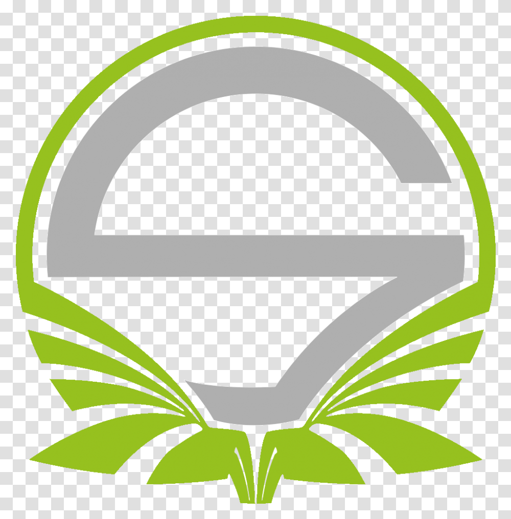 Team Singularitylogo Square Team Singularity Logo, Green Transparent Png