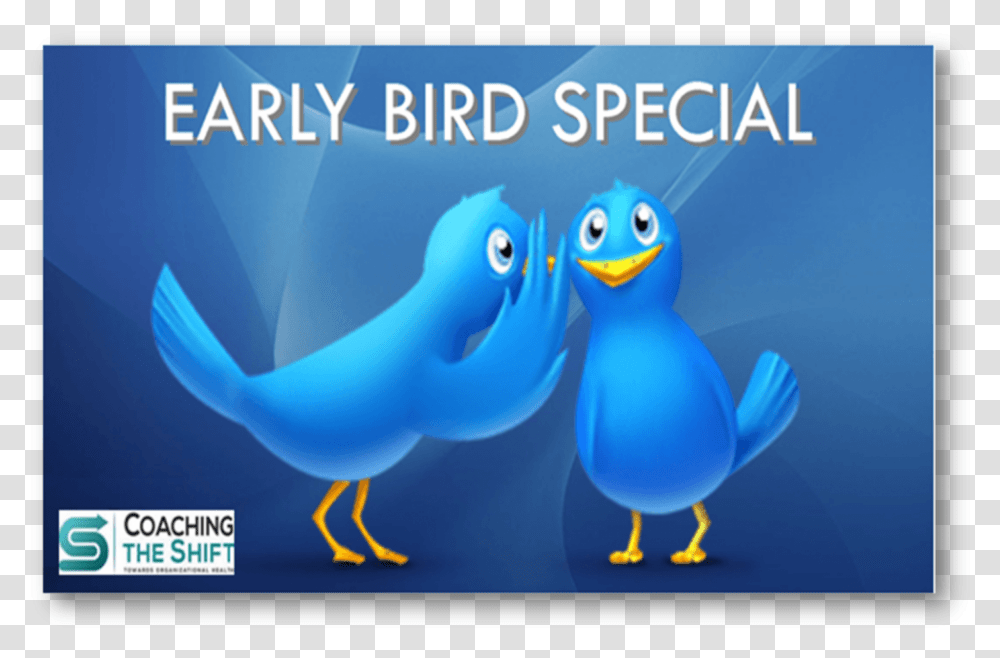Teamcoaching Opleiding Icf Certificatie Wordt Early Bird Massage Special, Animal, Outdoors, Screen Transparent Png