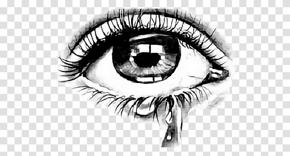 Tear Crying Eyes Quotes, Drawing, Person, Human Transparent Png