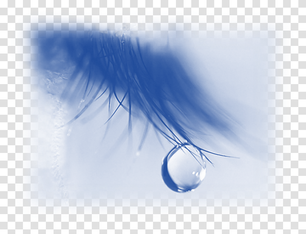 Tear Drop On Eye Lash Love Love Pain Alone, Contact Lens, Droplet Transparent Png