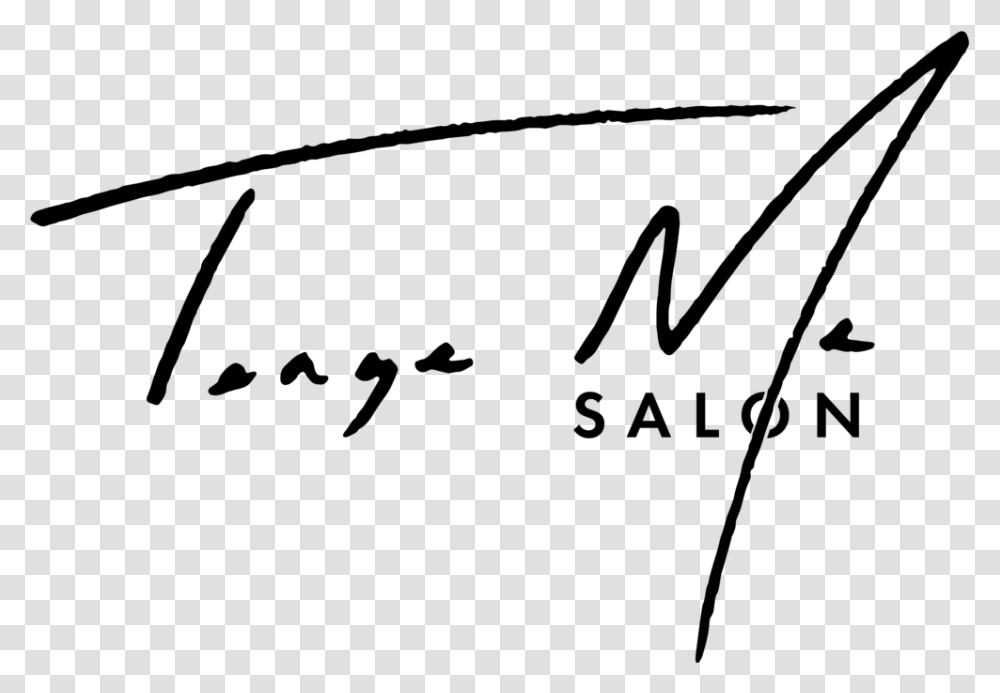 Tease Me Hair Salon Calligraphy, Gray, World Of Warcraft Transparent Png