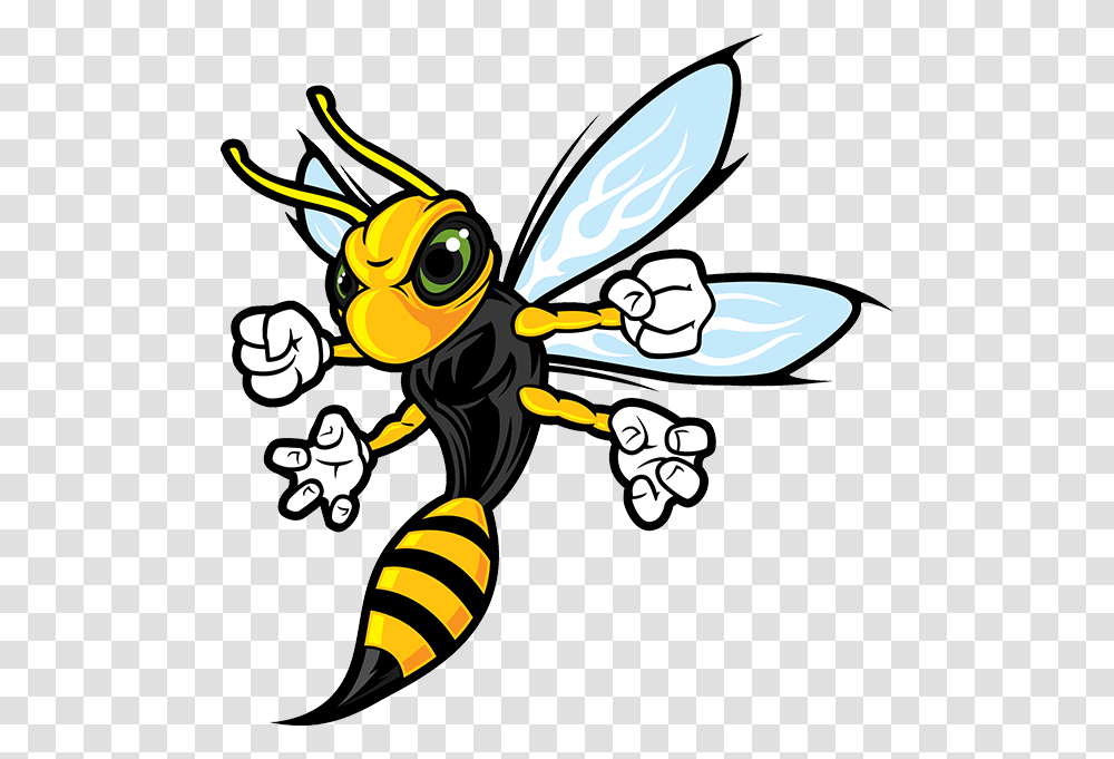 Technical Vocational High School, Honey Bee, Insect, Invertebrate, Animal Transparent Png