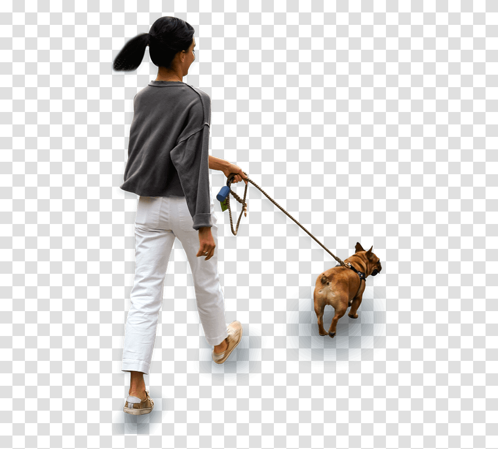 Technology For Pet Parents Dog Walking, Person, Canine, Animal Transparent Png