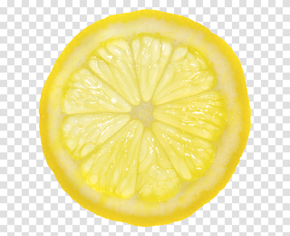 Technology Icon Yellow, Citrus Fruit, Plant, Food, Lemon Transparent Png