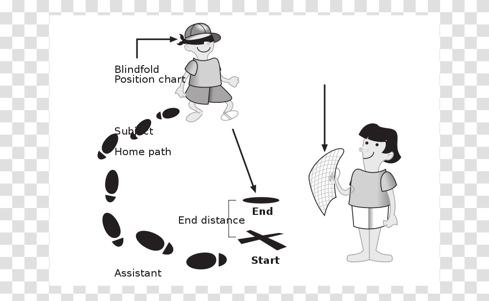 Technology, Plot, Diagram Transparent Png