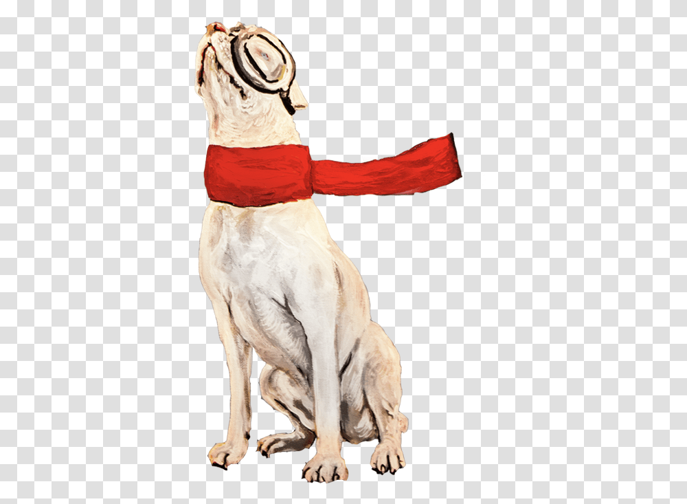 Ted Dog Catches Something, Person, Horse, Mammal, Animal Transparent Png