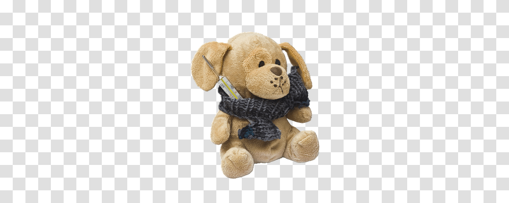 Teddy Plush, Toy, Teddy Bear Transparent Png