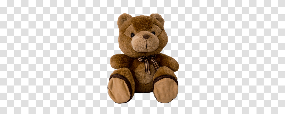Teddy Animals, Teddy Bear, Toy, Plush Transparent Png