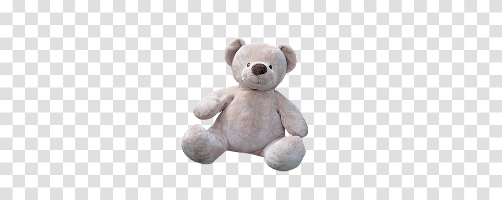 Teddy Bear Animals, Toy, Plush Transparent Png