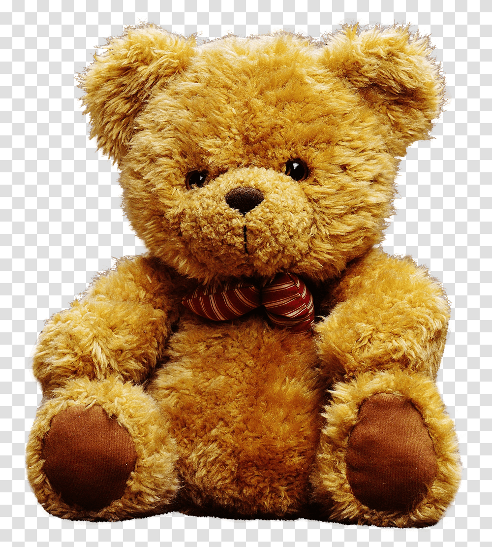 Teddy Bear Background, Toy, Plush Transparent Png