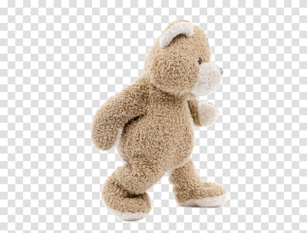 Teddy Bear, Character, Plush, Toy, Pillow Transparent Png