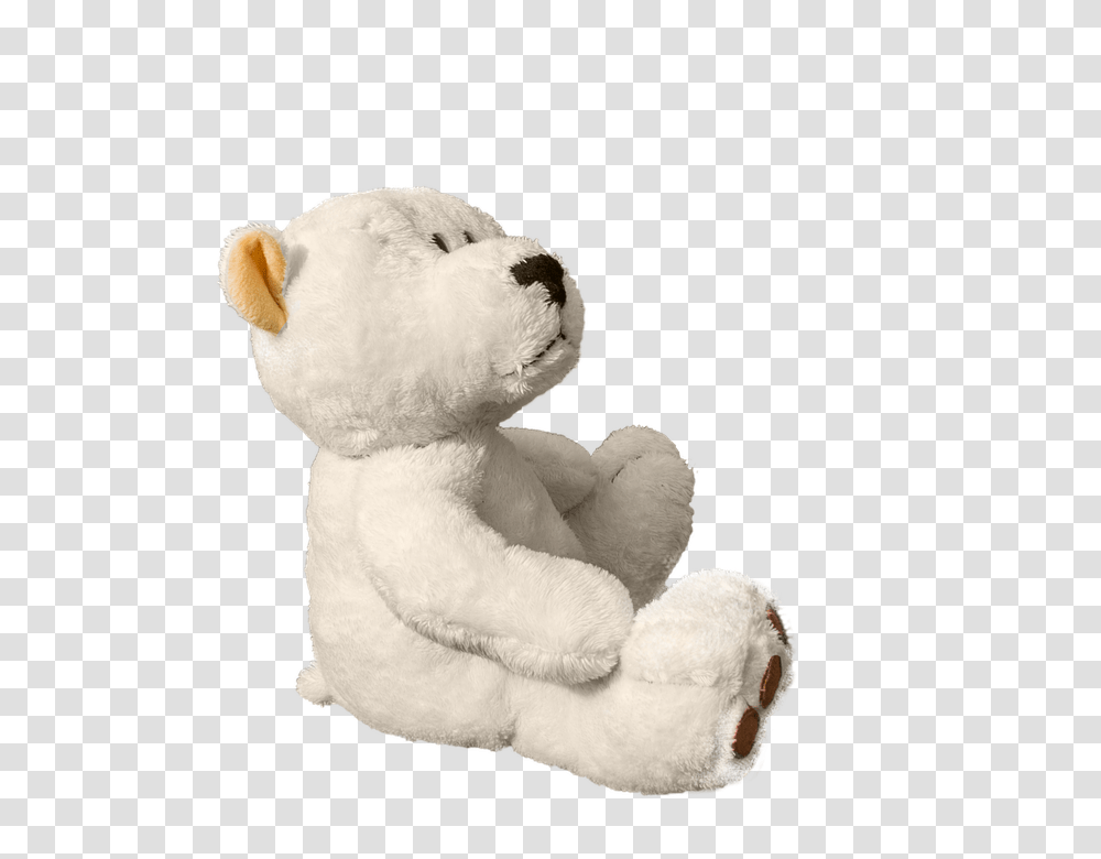 Teddy Bear, Character, Plush, Toy Transparent Png