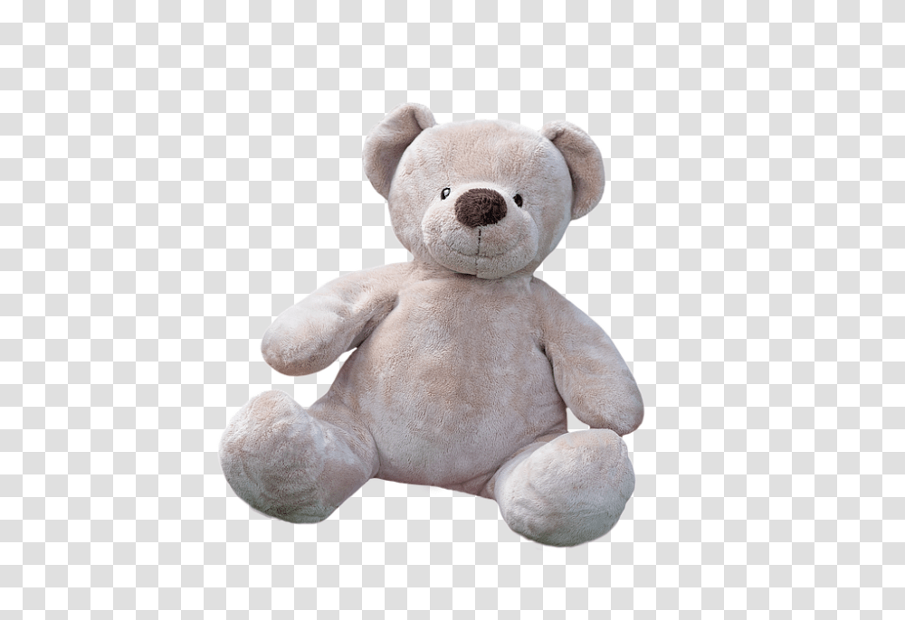 Teddy Bear, Character, Plush, Toy Transparent Png