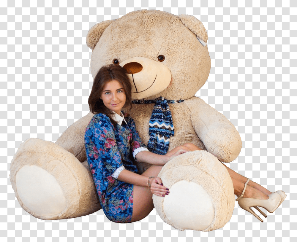 Teddy Bear, Character, Toy, Cushion, Pillow Transparent Png