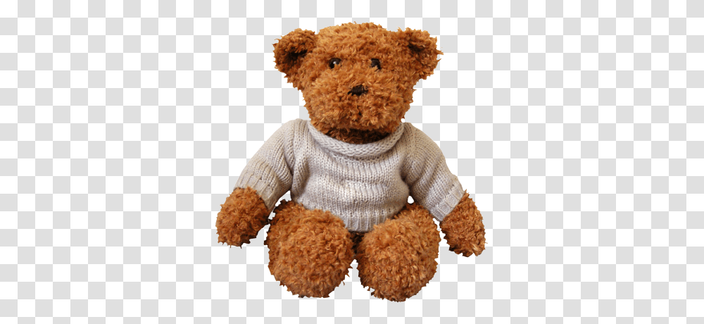 Teddy Bear, Character, Toy, Plush, Sweater Transparent Png