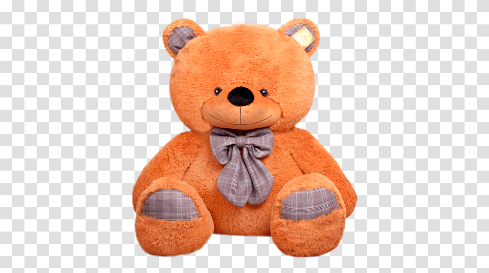 Teddy Bear, Character, Toy, Plush Transparent Png