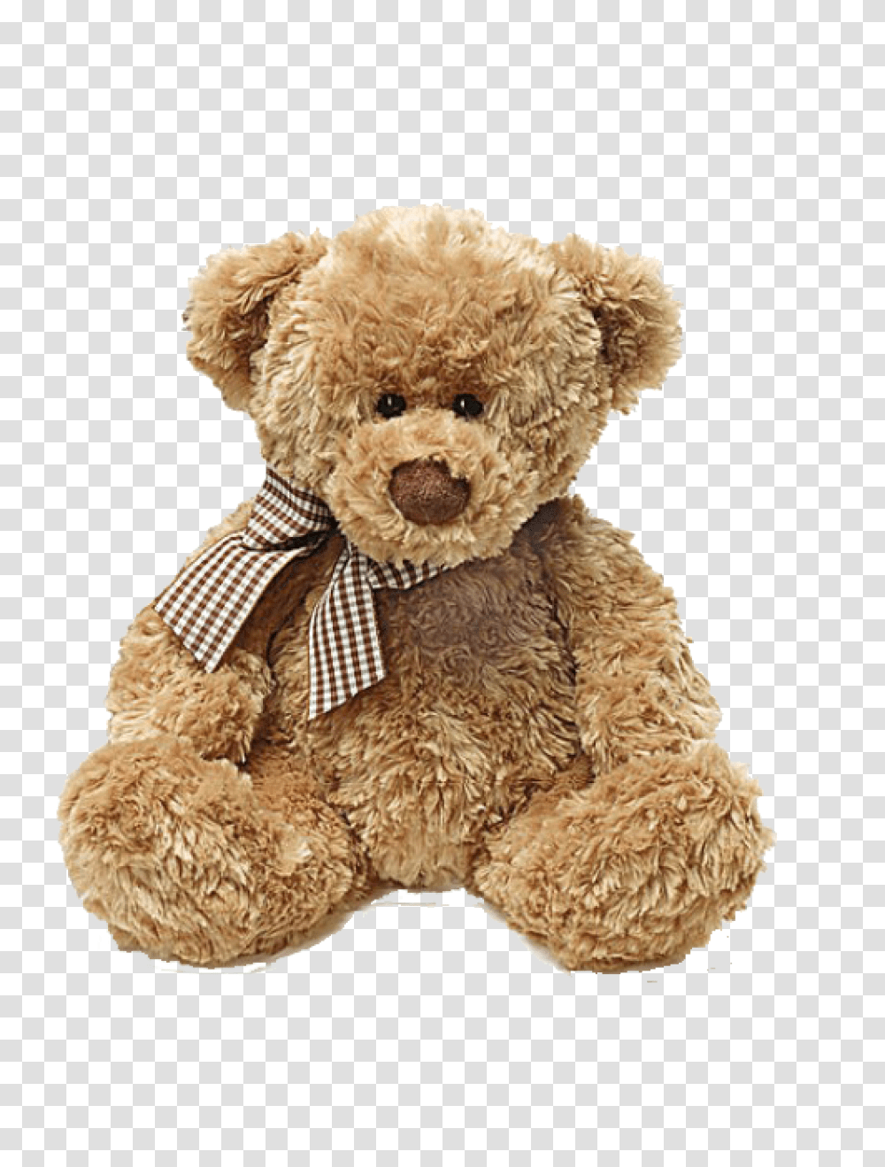 Teddy Bear, Character, Toy, Plush, Tie Transparent Png