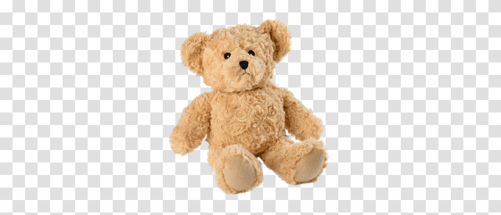 Teddy Bear, Character, Toy, Plush Transparent Png